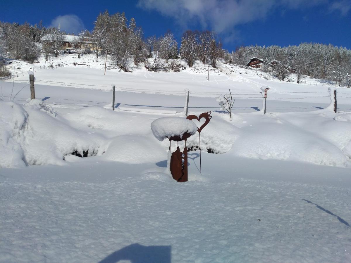Ferienhaus Gstoderblick Seebach  Esterno foto