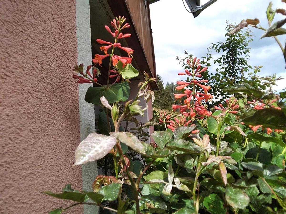 Ferienhaus Gstoderblick Seebach  Esterno foto