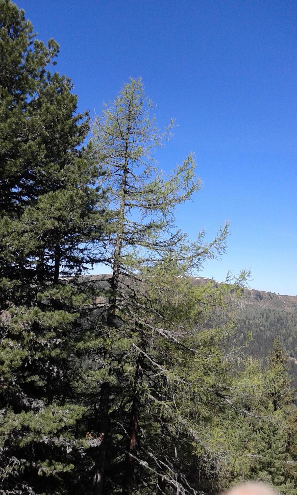 Ferienhaus Gstoderblick Seebach  Esterno foto
