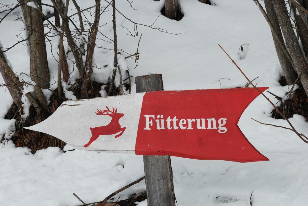 Ferienhaus Gstoderblick Seebach  Esterno foto